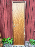 Dörr med karm 59x208