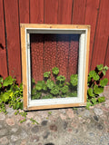 Fönster med karm 77x96