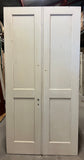 Pardörr 122x243