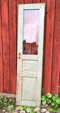 Glasat dörrblad 49x194