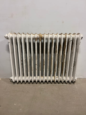 Vägghängd radiator 81x58x13