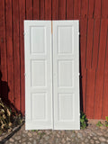 Pardörr 118x238