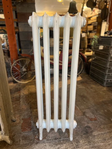 Gjutjärnsradiator 42x114x20
