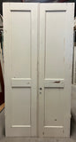 Pardörr 122,5x242