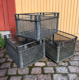 Trådkorg