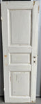Dörrblad 60x176,5 3-sp
