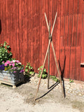 Hässjestör
